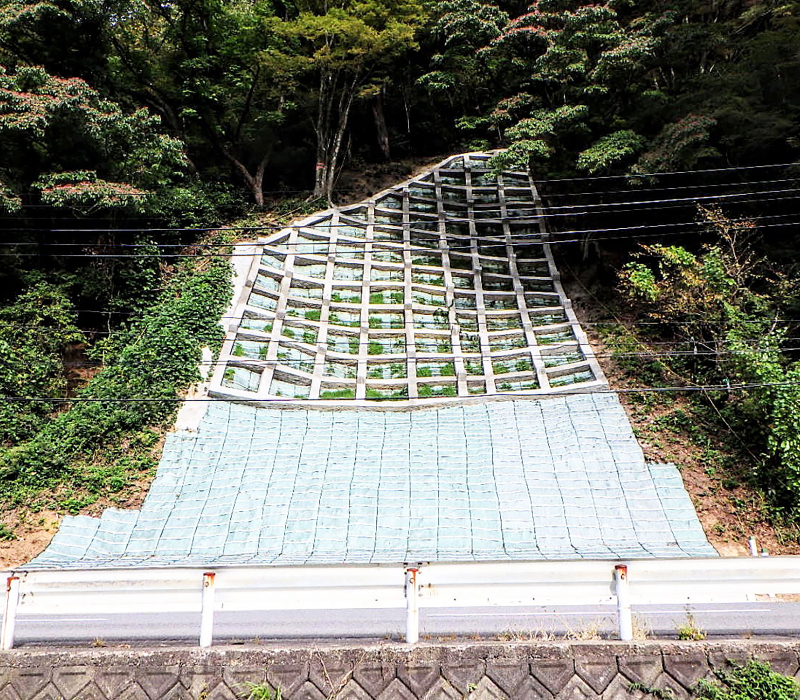 令和元年度大堰台緊急予防治山工事（補正）